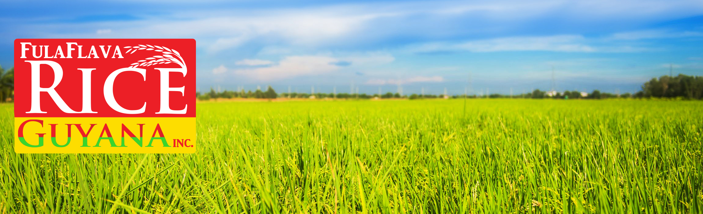 Past Shipments Rice Guyana